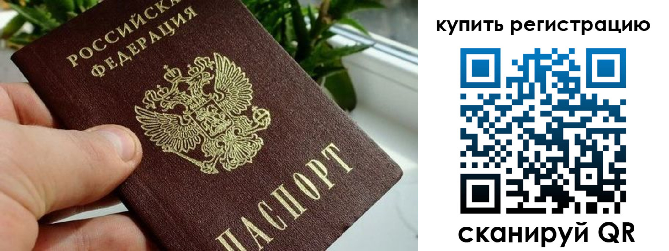 прописка гарантия в Заречном